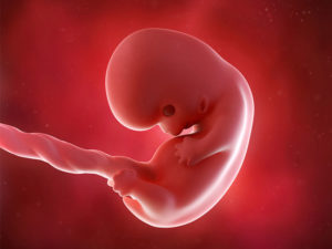 8 Неделя беременности от зачатия что происходит