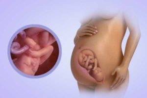 38 Неделя беременности третьи роды предвестники родов
