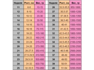Нормальный вес ребенка в 22 недели беременности