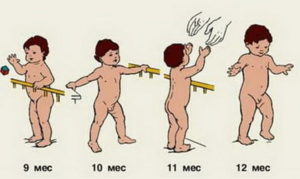 Во сколько лет должен ходить ребенок
