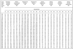 Фетометрия 19 20 недель беременности