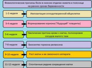 Сильно болит поясница при беременности 10 недель