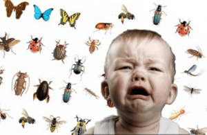 Ребенок боится мух что делать