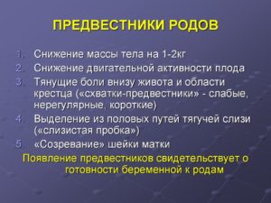 Предвестники родов повторнородящих 38 недель форум