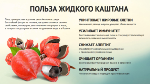 Действие жидкого каштана на организм