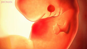 Седьмая акушерская неделя беременности ощущения