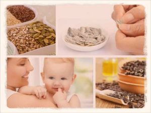 Можно ли есть семечки кормящим?