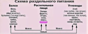 Раздельное питание азбука диет