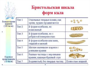 Диета бристольская