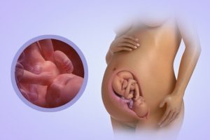 38 Неделя беременности ребенок затих почему