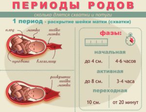 40 Недель схватки каждые 4 минуты