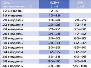 Обхват живота на 32 неделе беременности