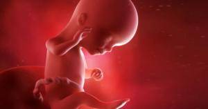 Малыш на 16 недели беременности