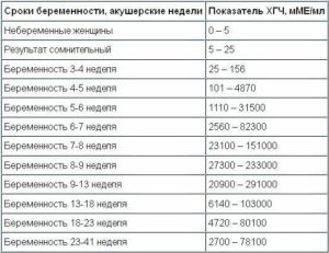 5 Неделя акушерской беременности хгч 304