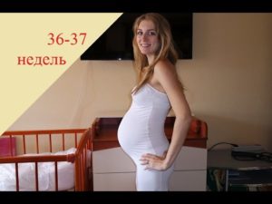 Вторая беременность 36 37 недель