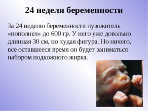 24 недели беременности ощущения
