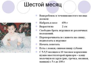 6 месяцев ребенку что должен уметь делать