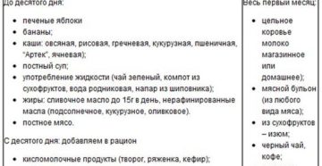 Что можно на гв кушать? Что можно на гв кушать?