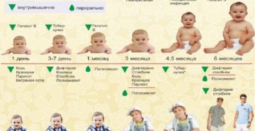 Прививка ребенку в 7 месяцев Прививка ребенку в 7 месяцев