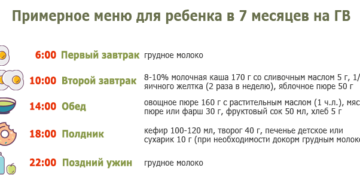 Питание и режим ребенка в 7 месяцев Питание и режим ребенка в 7 месяцев