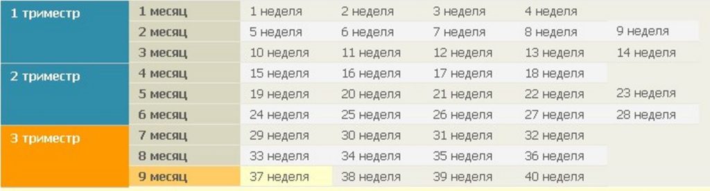 8 Недель беременности какой месяц