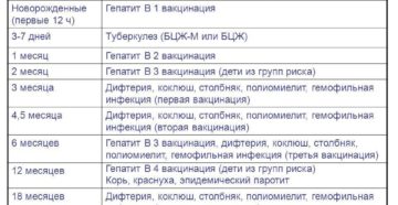 Первая прививка в 5 месяцев