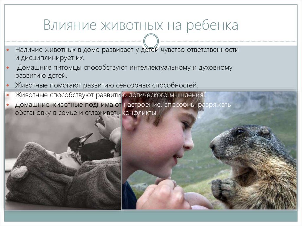 Как влияют домашние животные на детей?
