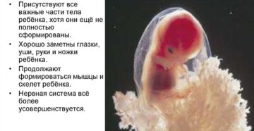 Пропали признаки беременности на 8 неделе