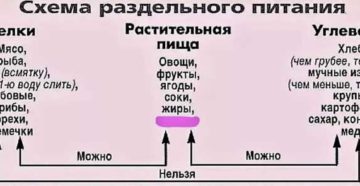 Азбука диет раздельное питание Азбука диет раздельное питание