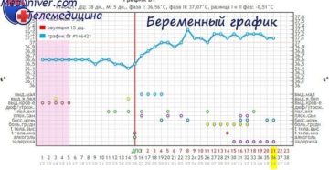 16 Неделя беременности температура 38