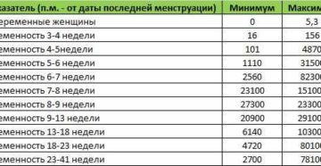 2 Неделя беременности после эко 2 Неделя беременности после эко