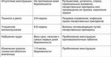 Месячные через 2 недели после месячных беременность Месячные через 2 недели после месячных беременность