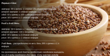 Гречневая диета подробное описание