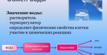 Роль воды в обмене веществ и энергии