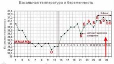 Температура при беременности 23 недели