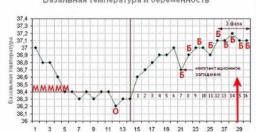 Температура при беременности 23 недели