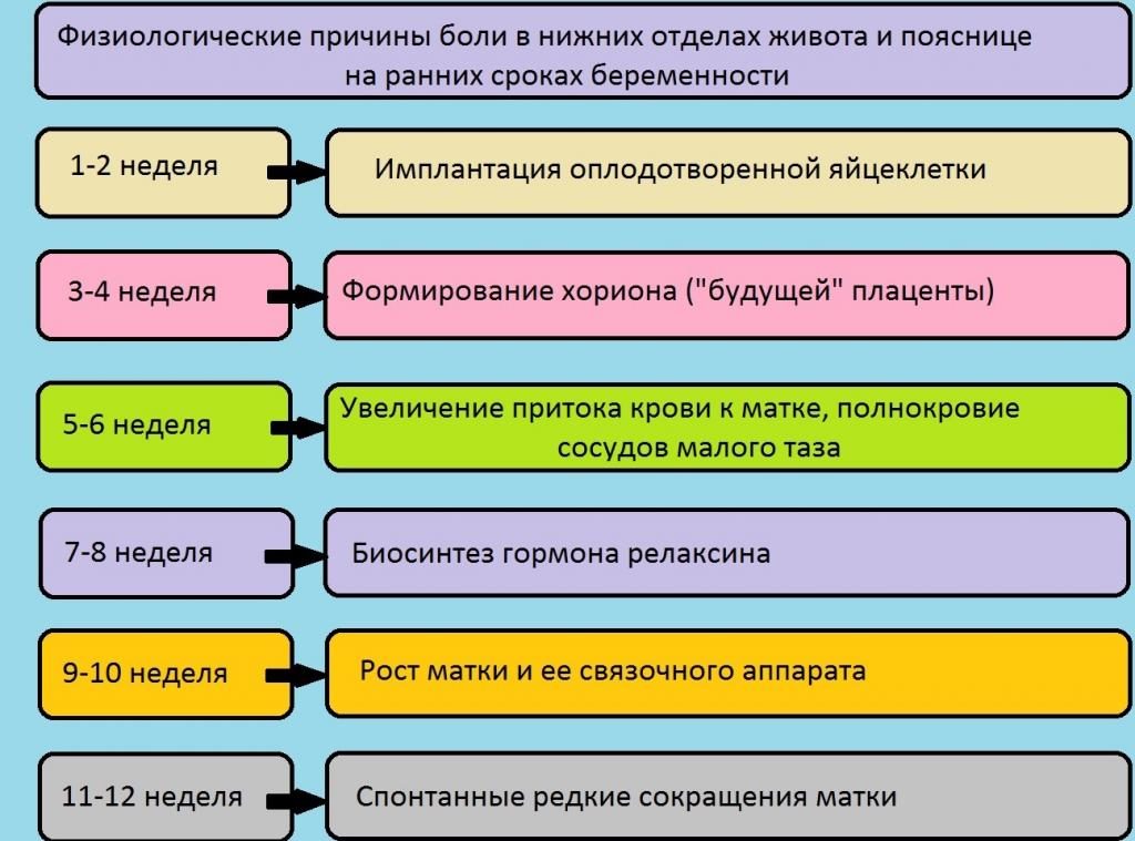 Сильно болит поясница при беременности 10 недель