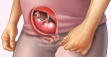 15 акушерская неделя беременности ощущения 15 акушерская неделя беременности ощущения