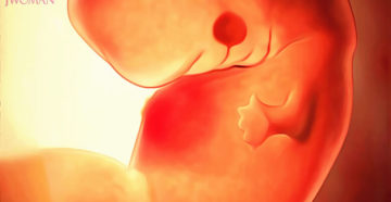 Седьмая акушерская неделя беременности ощущения Седьмая акушерская неделя беременности ощущения