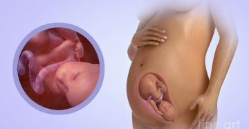 28 Неделя беременности что происходит с малышом