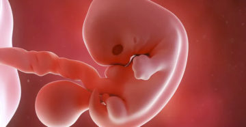 Беременности 7 неделя