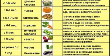 Со скольки месяцев можно давать помидоры ребенку Со скольки месяцев можно давать помидоры ребенку