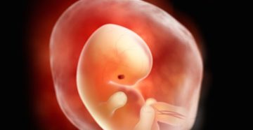 7 Неделя беременности ощущения женщины 7 Неделя беременности ощущения женщины