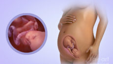 28 Неделя беременности молочница