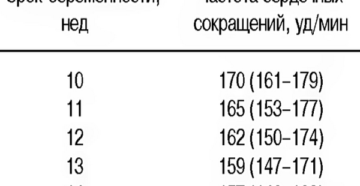 Сердцебиение плода на 32 неделе