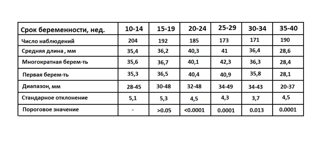 Длина шейки матки при беременности 16 недель