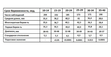 Длина шейки матки при беременности 16 недель