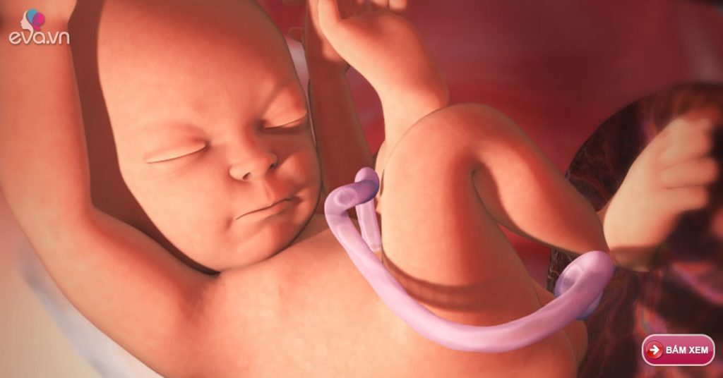 Тонус матки на 34 неделе