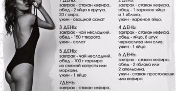 Самые эффективные белковые диеты для быстрого похудения Самые эффективные белковые диеты для быстрого похудения