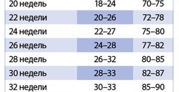 Окружность живота на 26 неделе